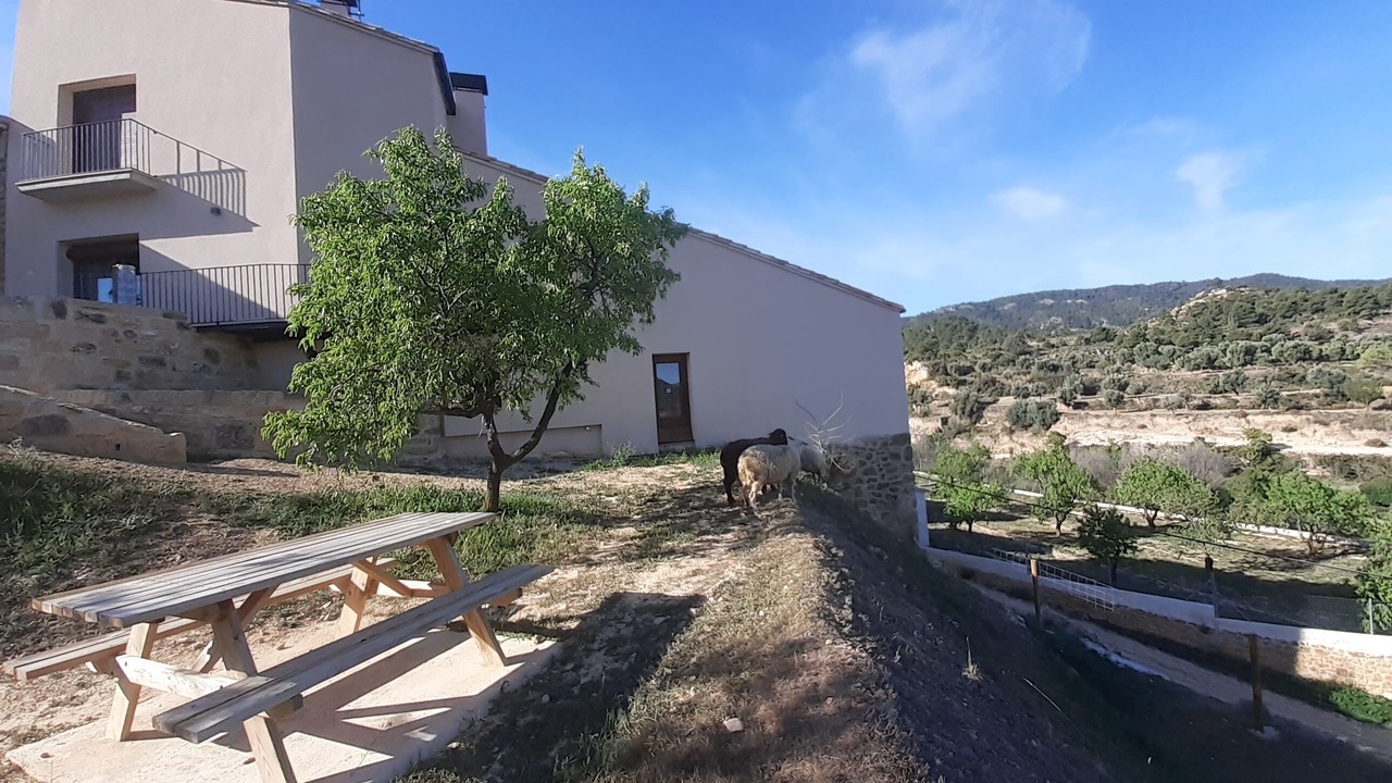 Photo of Outdoor in Belmonte de San Jose