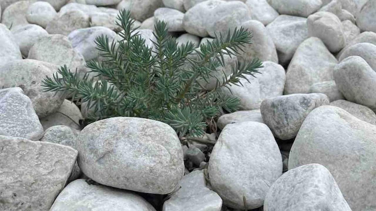 Photo of Outdoor in Vouzeron