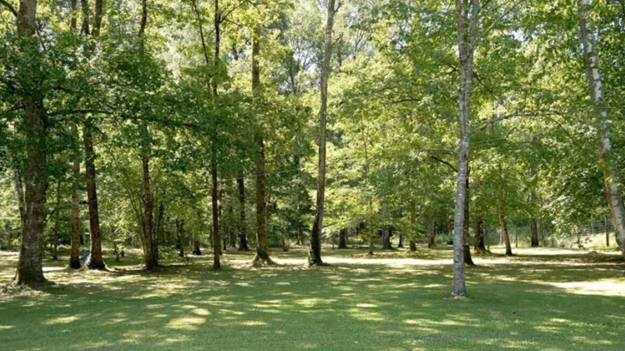 Photo of Outdoor in Vouzeron