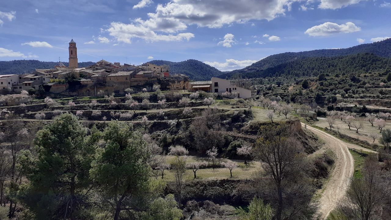 Photo of Outdoor in Belmonte de San Jose