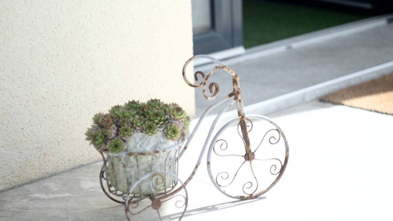 Photo of Outdoor in Demouville