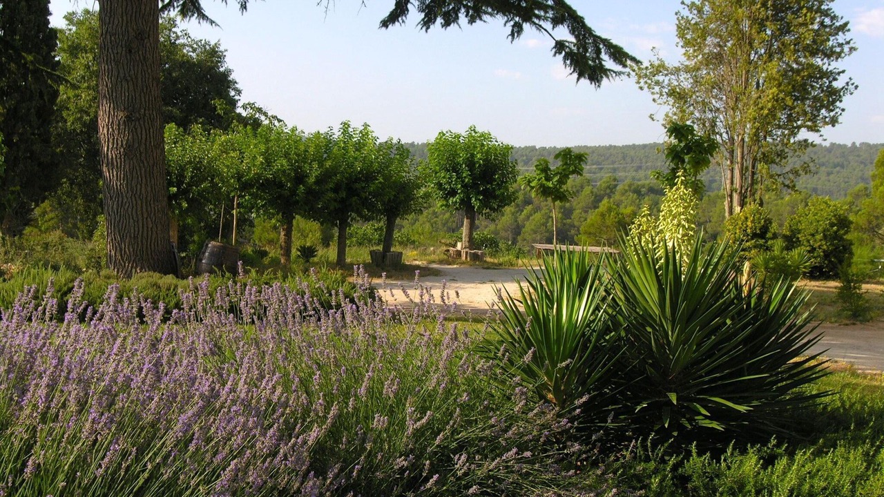 Photo of Outdoor in La Torre de Claramunt