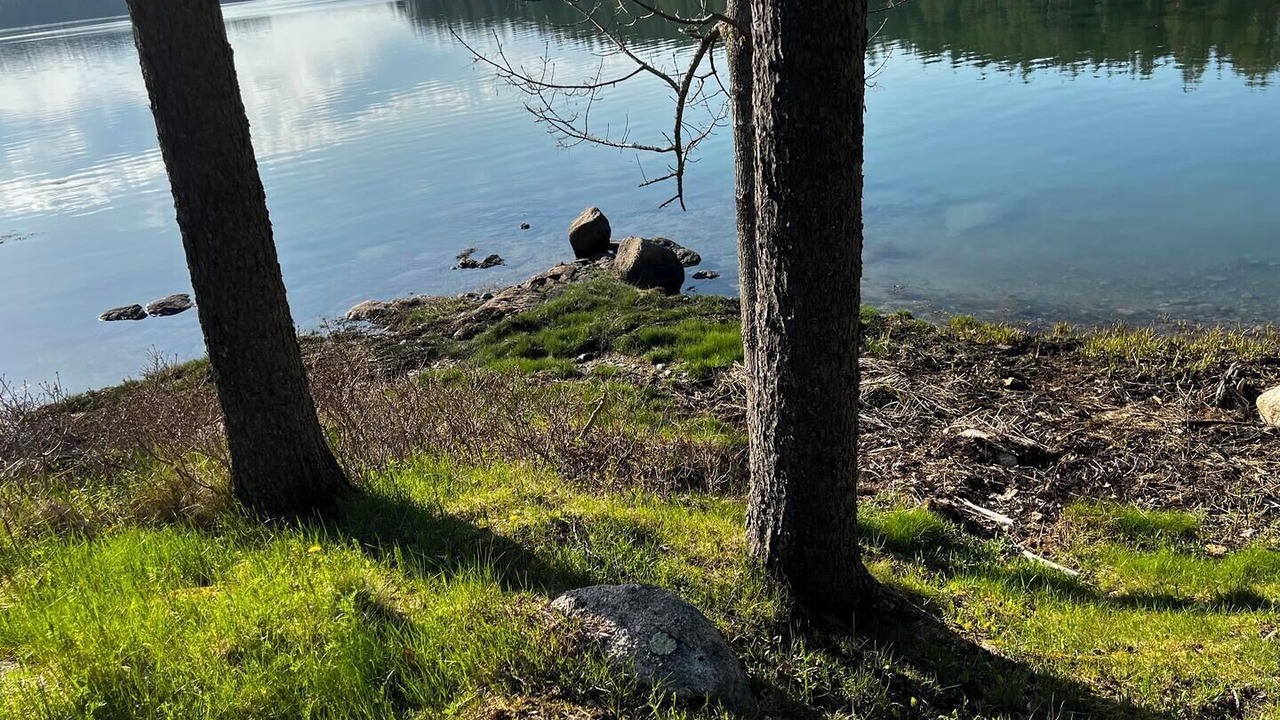 Photo of Others in Stonington