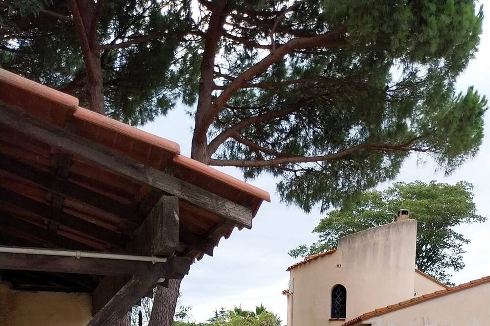 Photo of Outdoor in Villelongue-de-la-Salanque