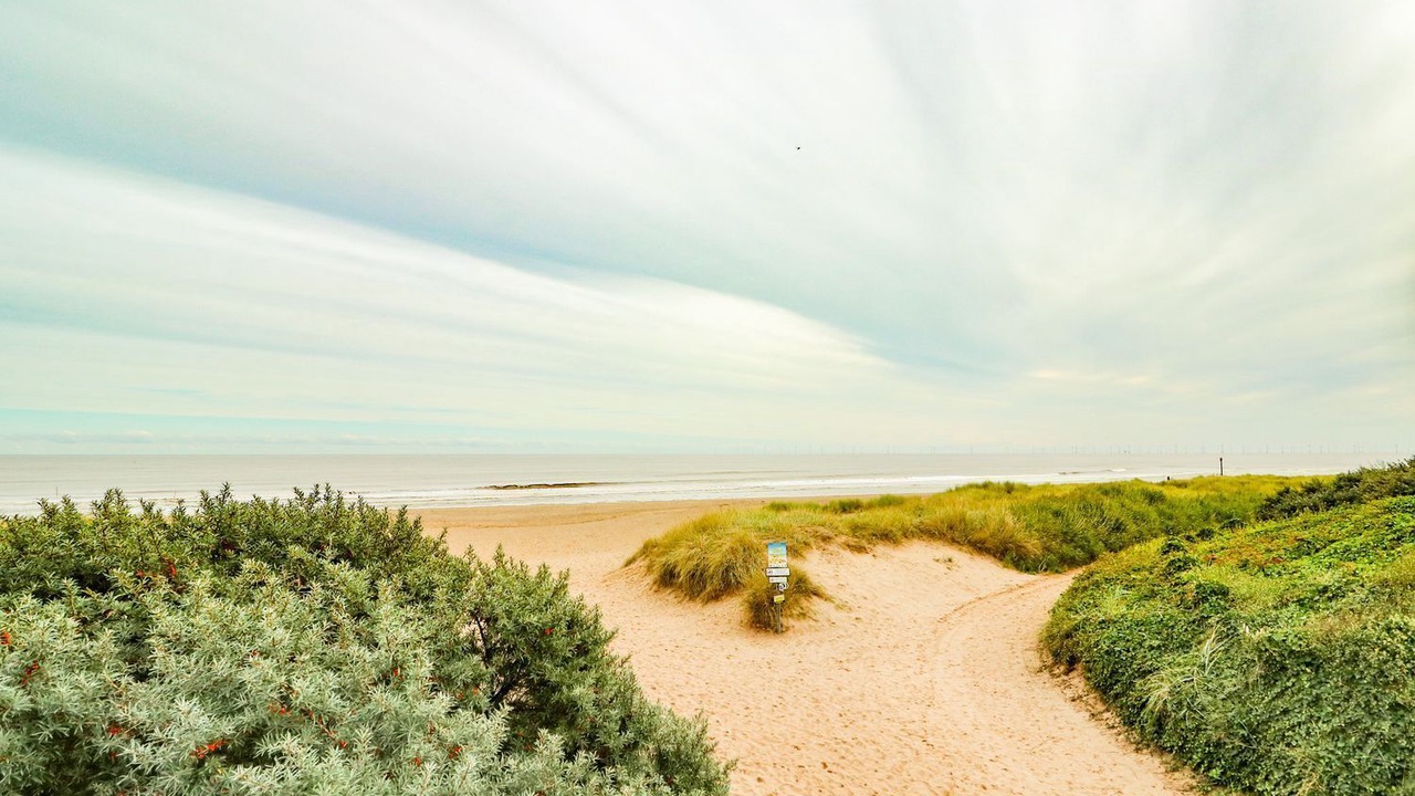 Photo of Others in Anderby Creek