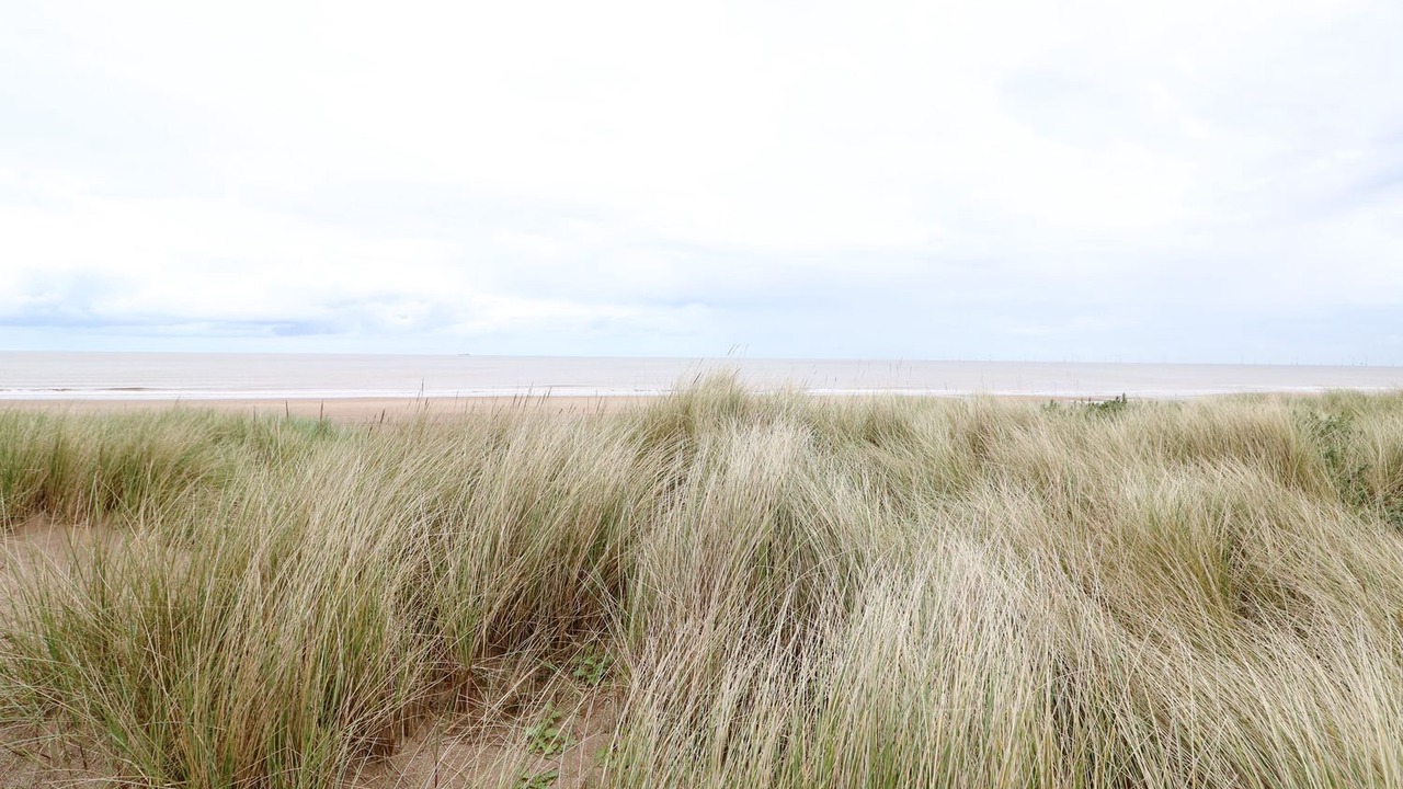 Photo of Others in Anderby Creek