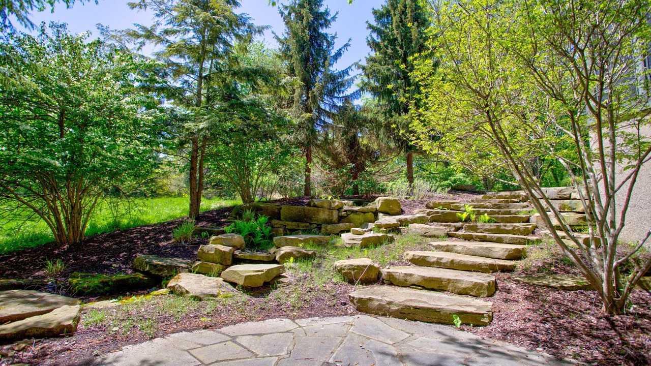 Photo of Outdoor in Allegan County