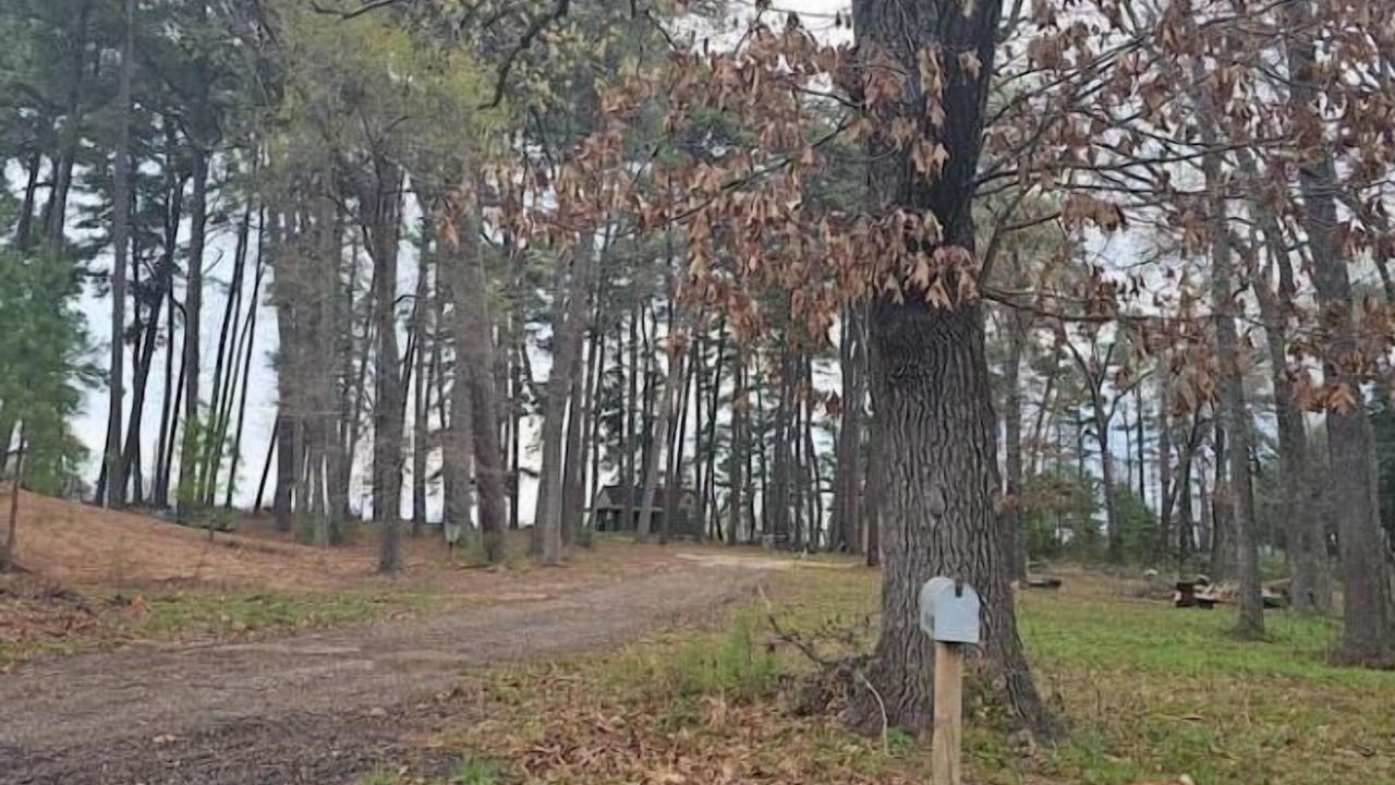 Photo of Outdoor in Mineola