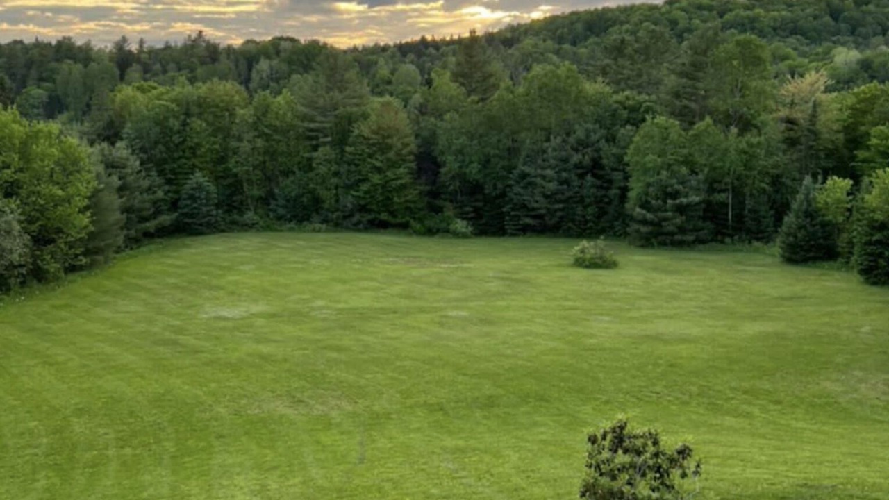 Photo of Others in Lyndon