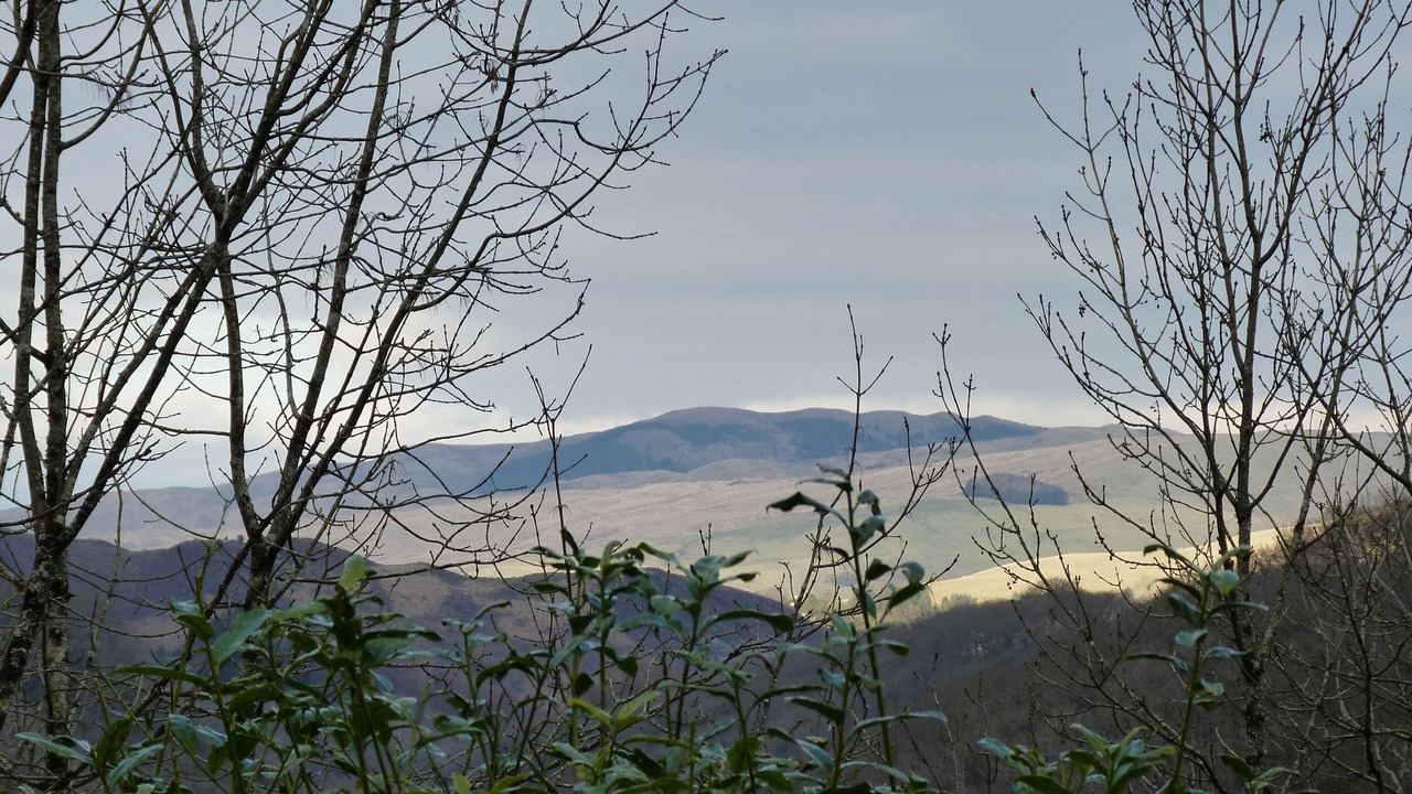 Photo of Others in Devils Bridge