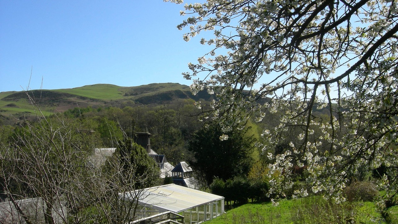 Photo of Outdoor in Devils Bridge