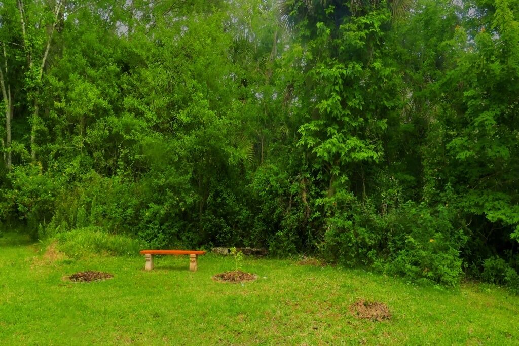 Photo of Outdoor in Titusville