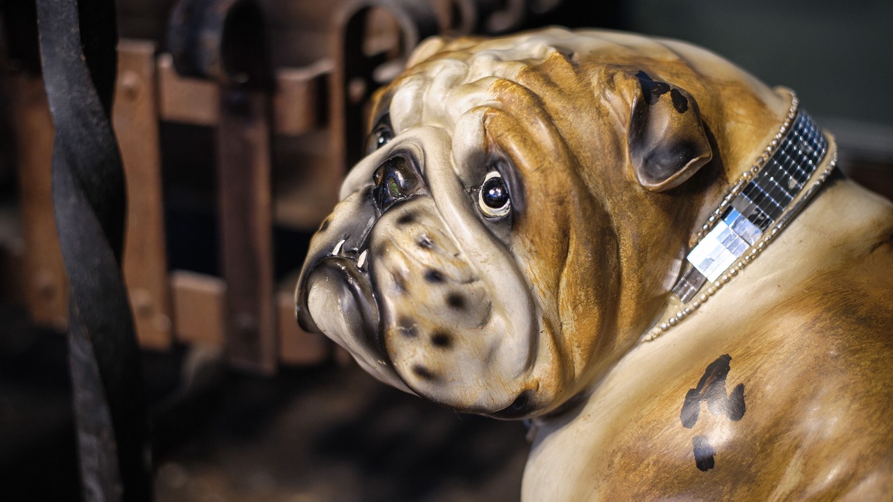 Photo of Others in Saffron Walden