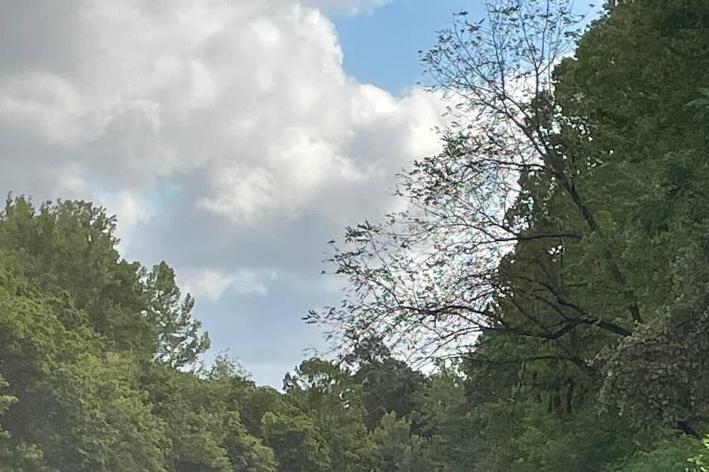 Photo of Outdoor in Huntsville
