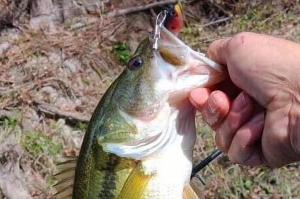 Photo of Outdoor in Huntsville