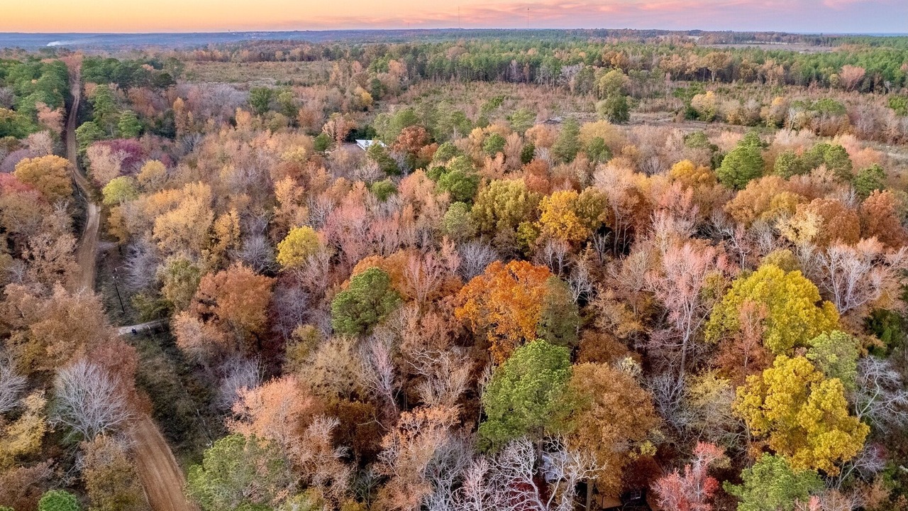 Photo of Outdoor in Rusk