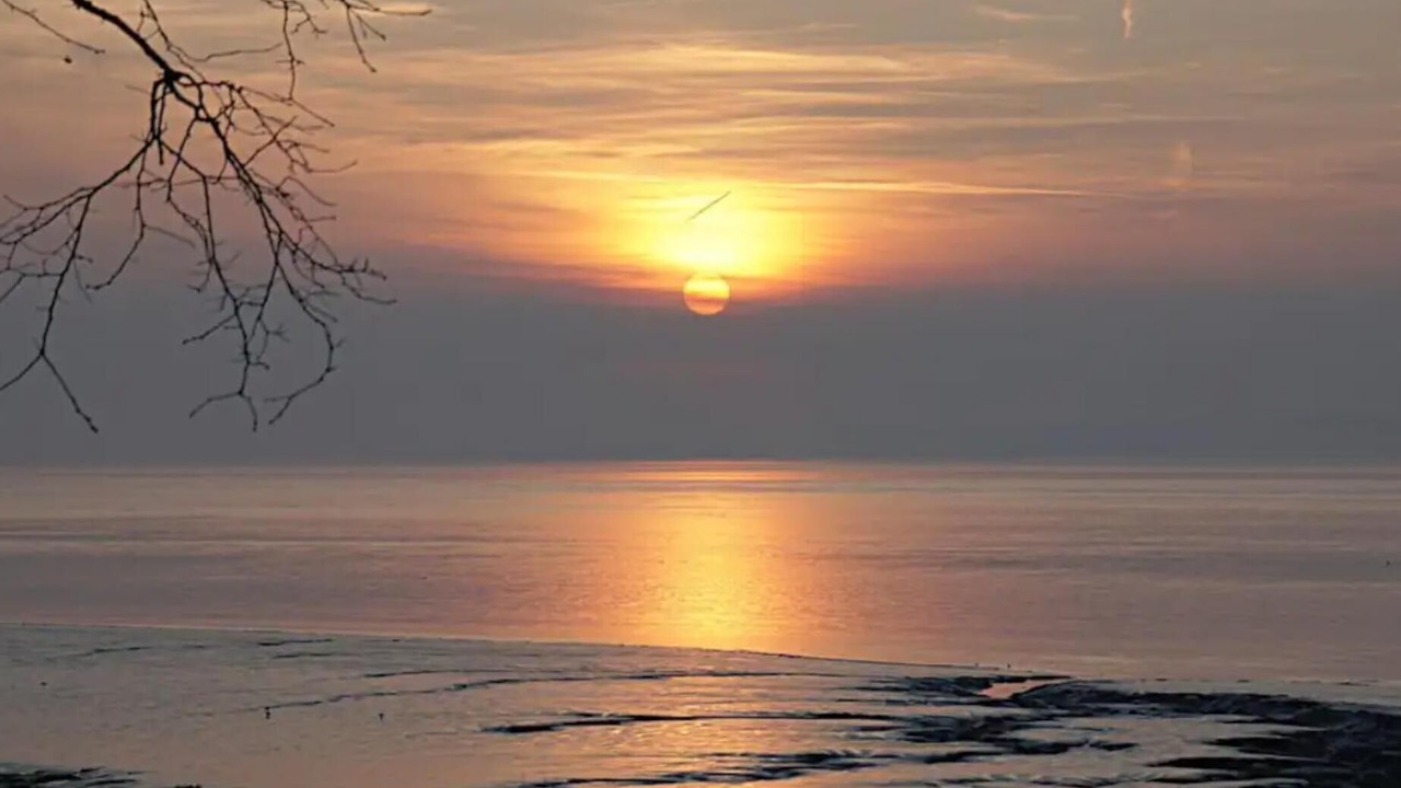 Photo of Others in Portishead