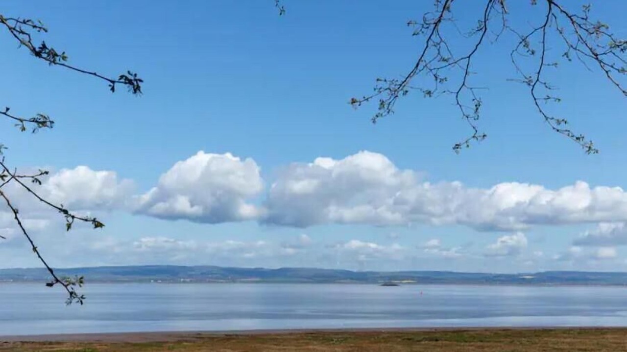 Photo of Others in Portishead