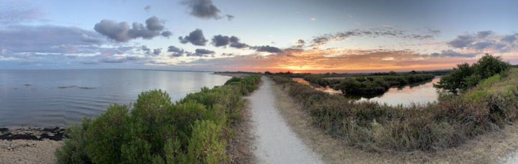 Photo of Outdoor in Le Teich