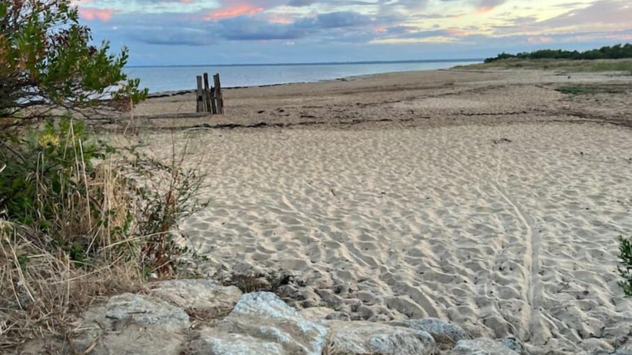 Photo of Others in Le Teich