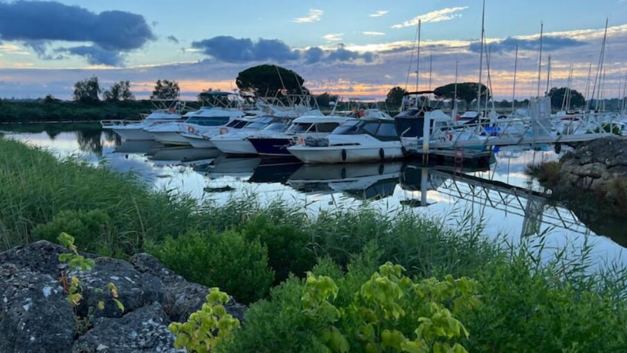 Photo of Others in Le Teich