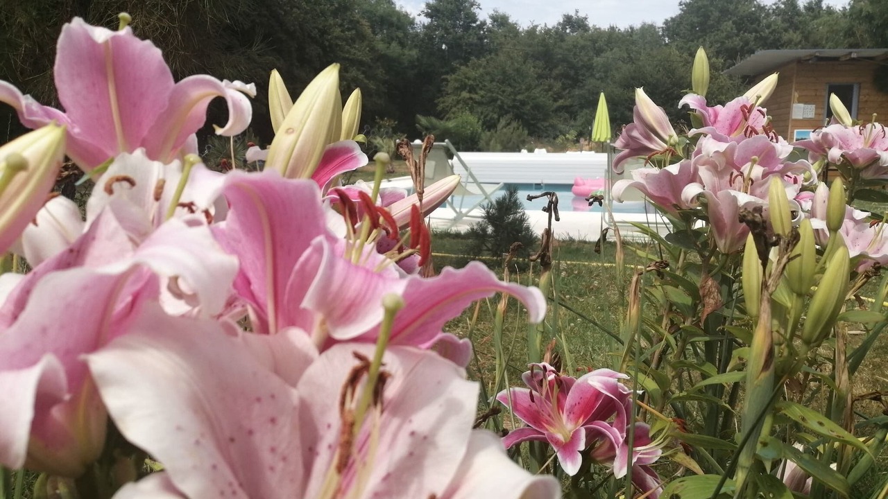 Photo of Outdoor in Chateau-la-Valliere