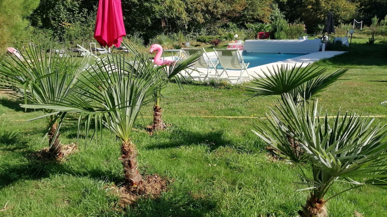 Photo of Others in Chateau-la-Valliere