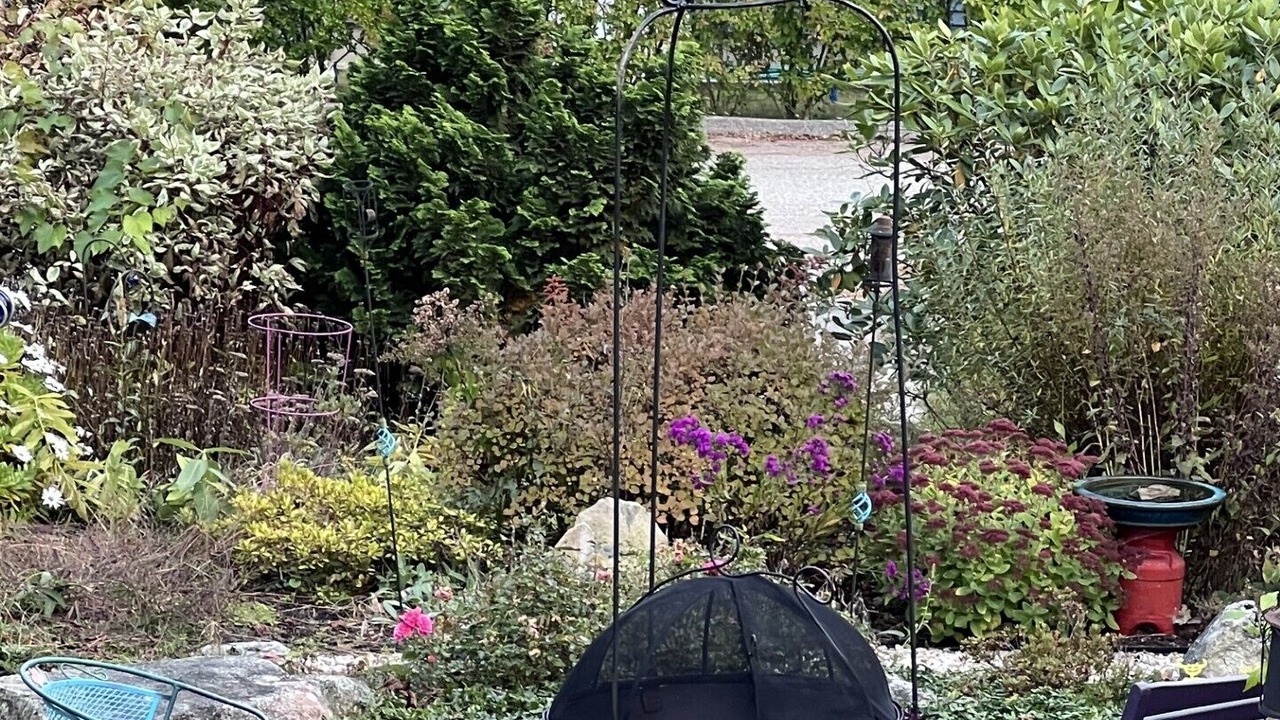 Photo of Outdoor in Falmouth Foreside