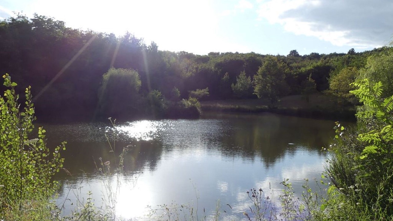 Photo of Outdoor in Saint-Marcet