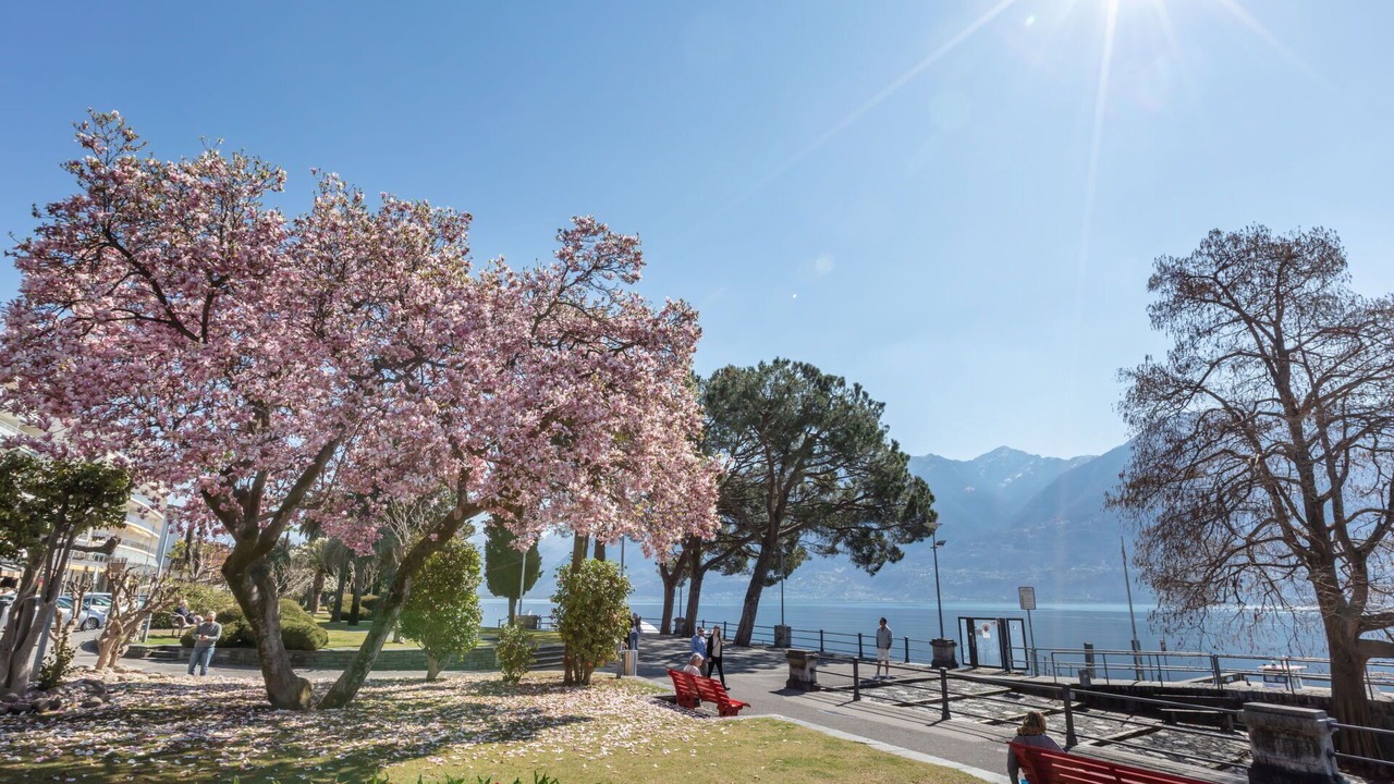 Photo of Outdoor in Muralto