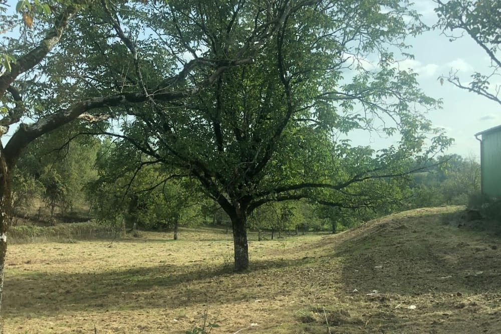 Photo of Outdoor in Eyzerac