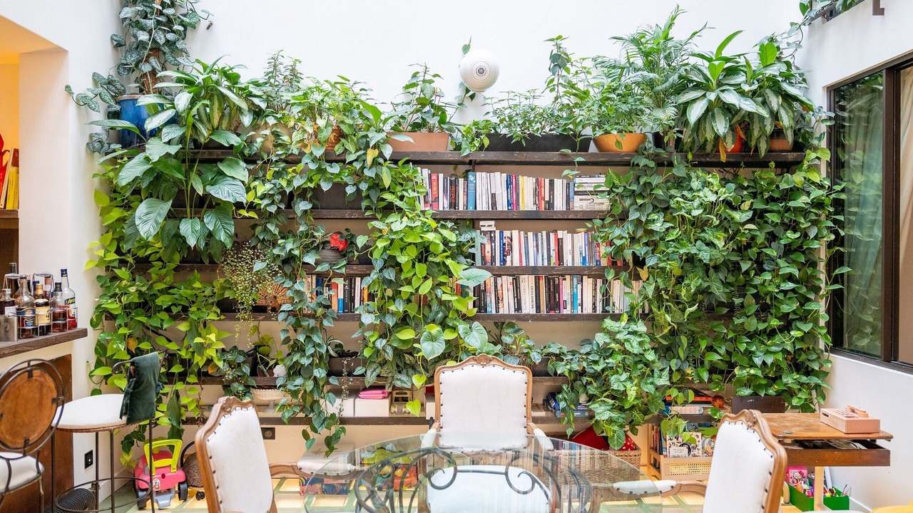 Photo of Others in Les Amandiers