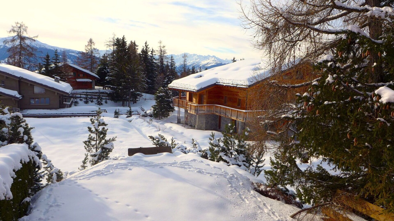 Photo of Outdoor in Lens