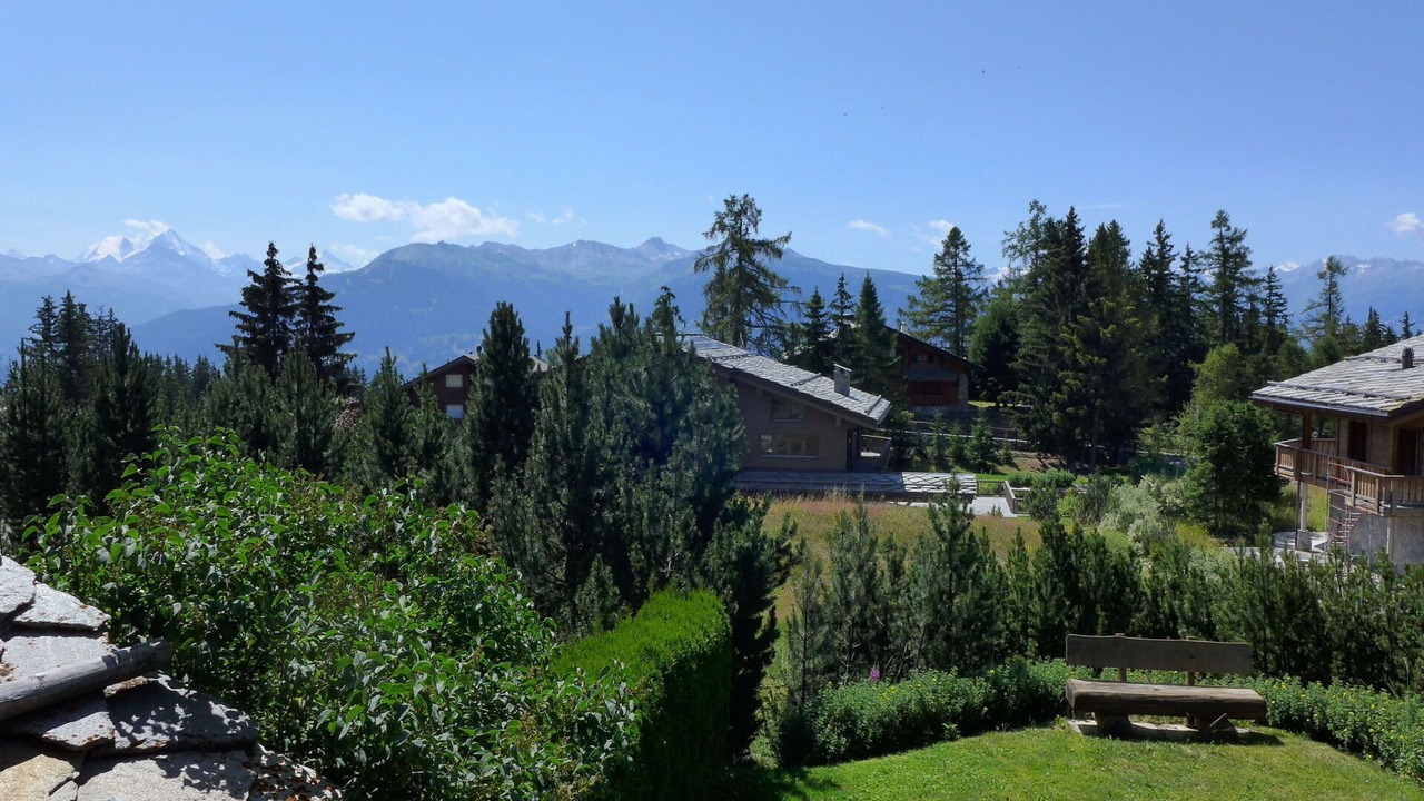 Photo of Outdoor in Lens