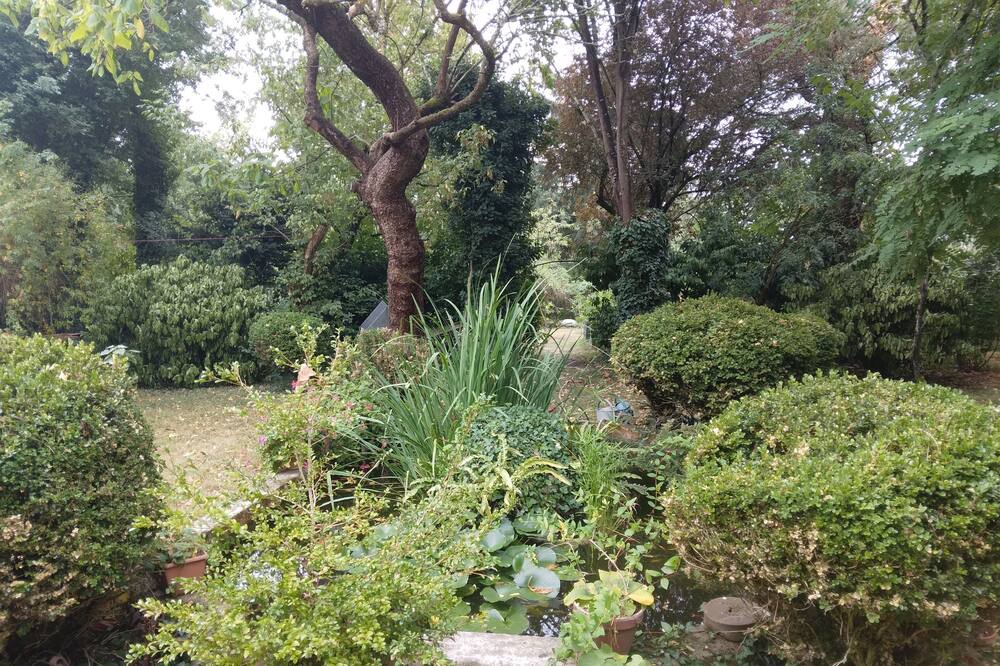Photo of Outdoor in Saint-Avertin