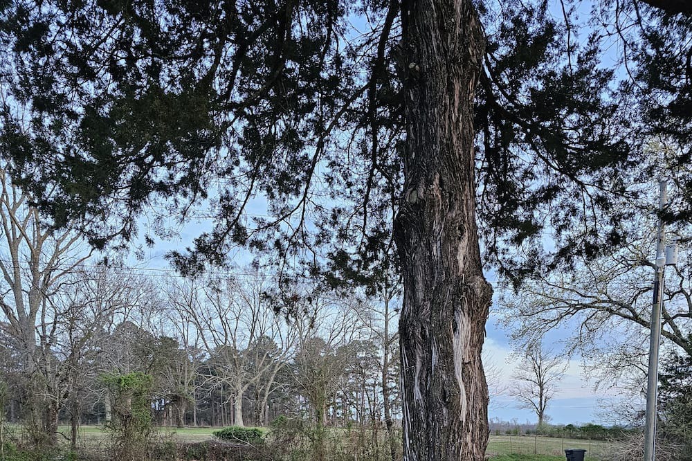 Photo of Others in Quitman