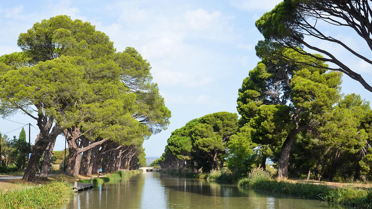 Photo of Others in Argeliers