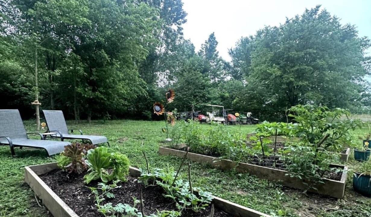 Photo of Outdoor in Mc Caskill