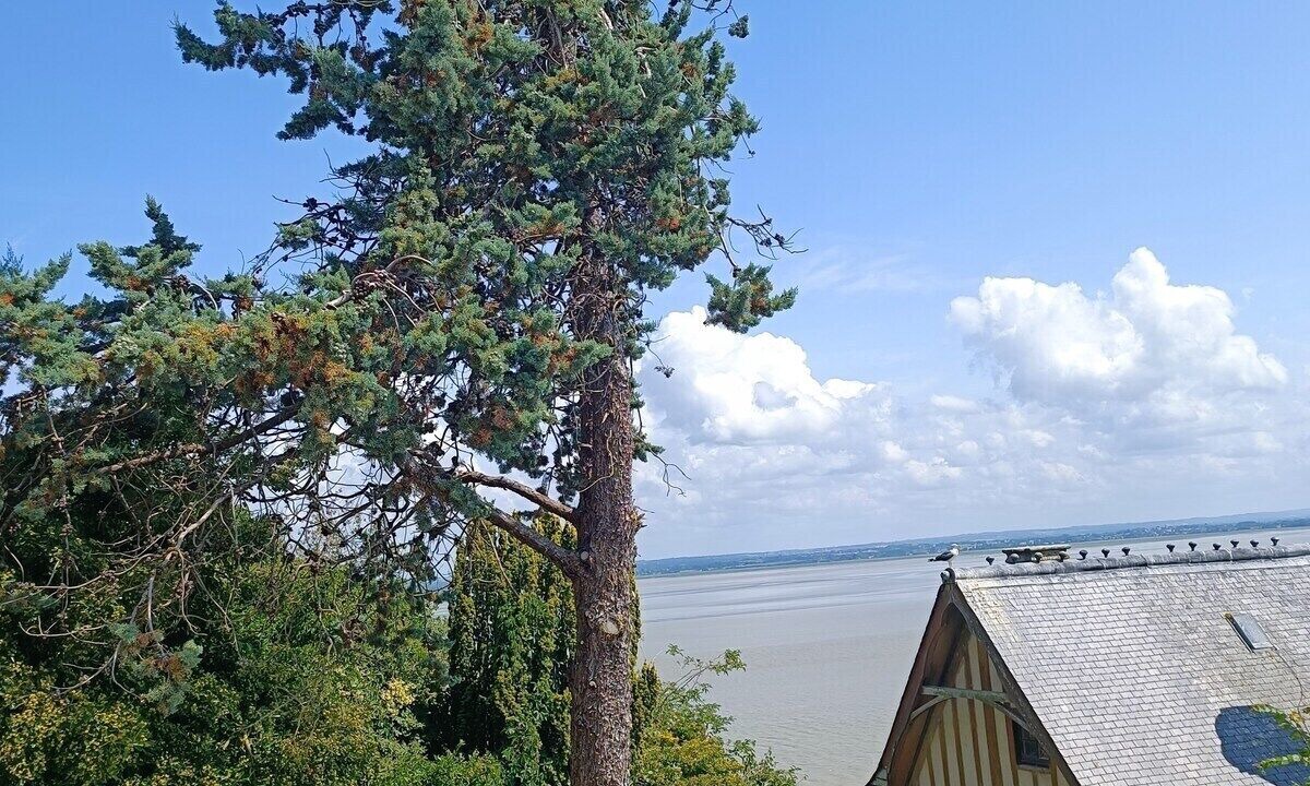 Photo of Others in Le Mont-Saint-Michel