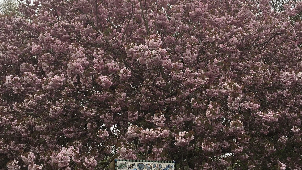 Photo of Outdoor in Coleshill