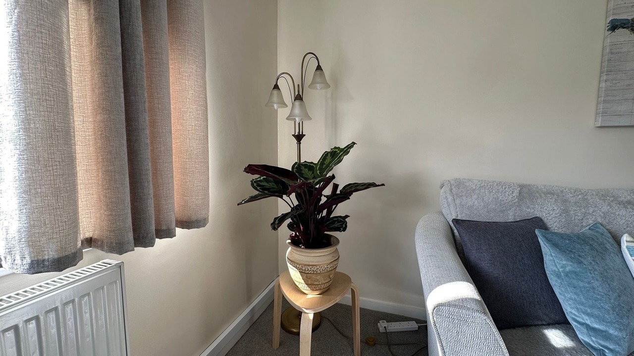 Photo of Others in Coleshill