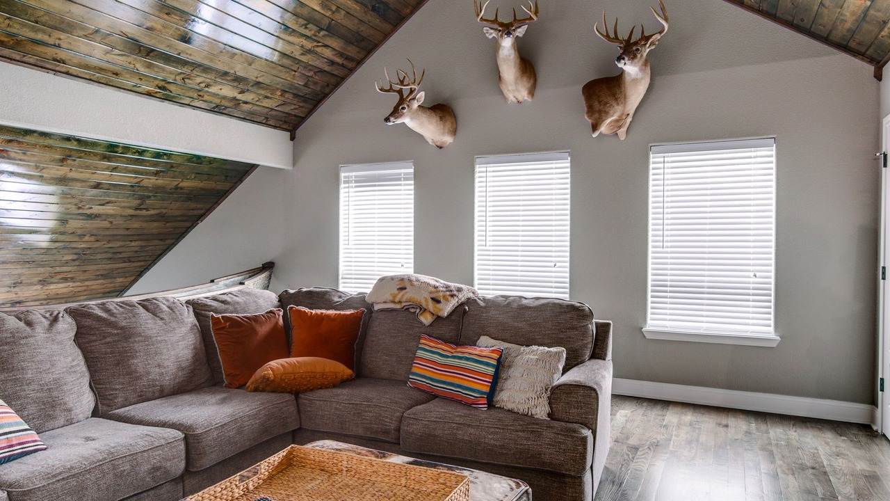Photo of Livingroom in Alleene