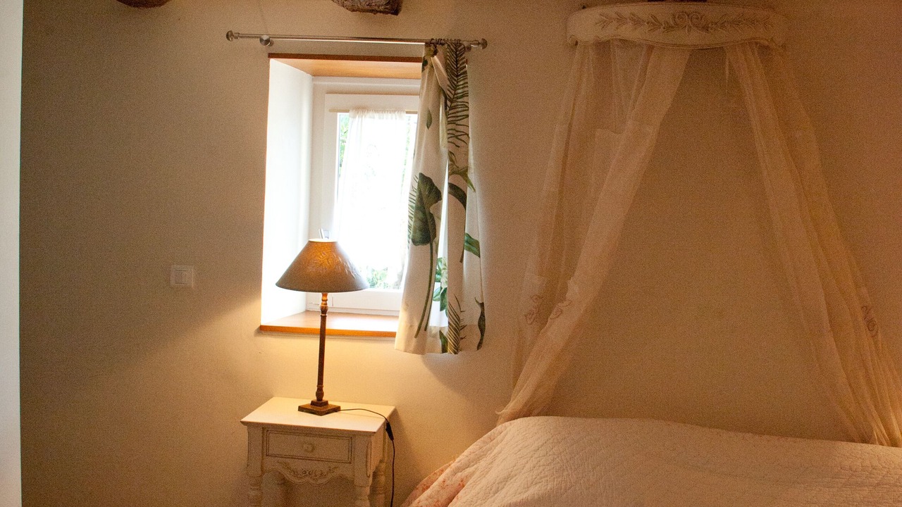 Photo of Others in Andressac