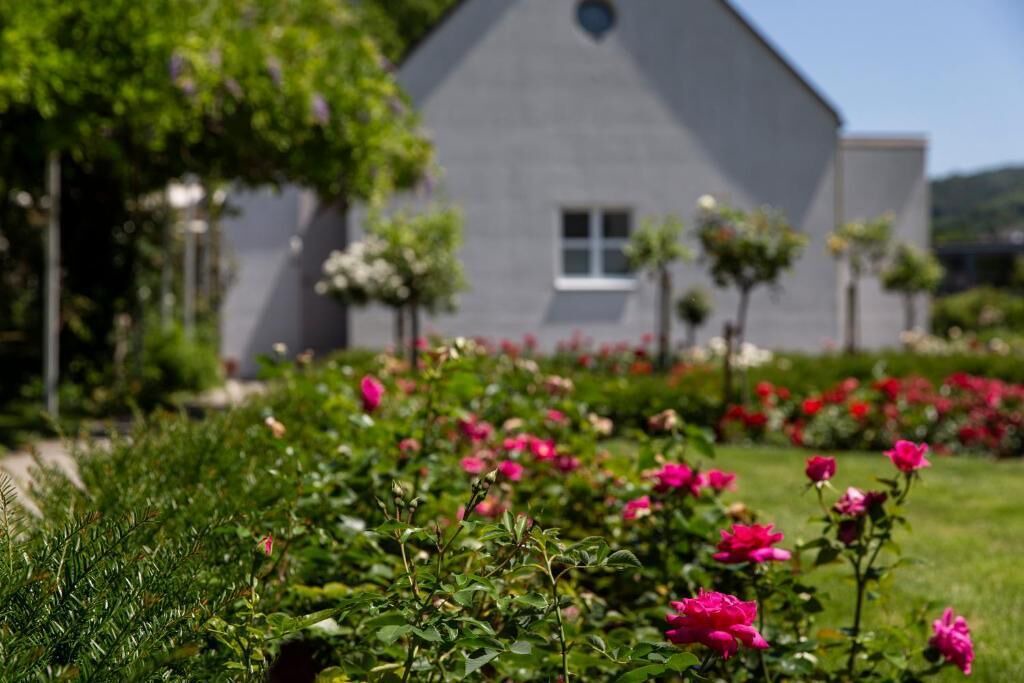 Photo of Outdoor in Steckborn