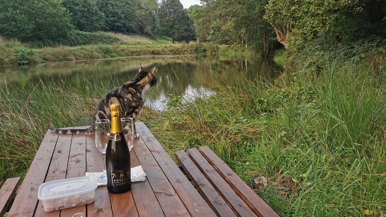 Photo of Outdoor in South Molton