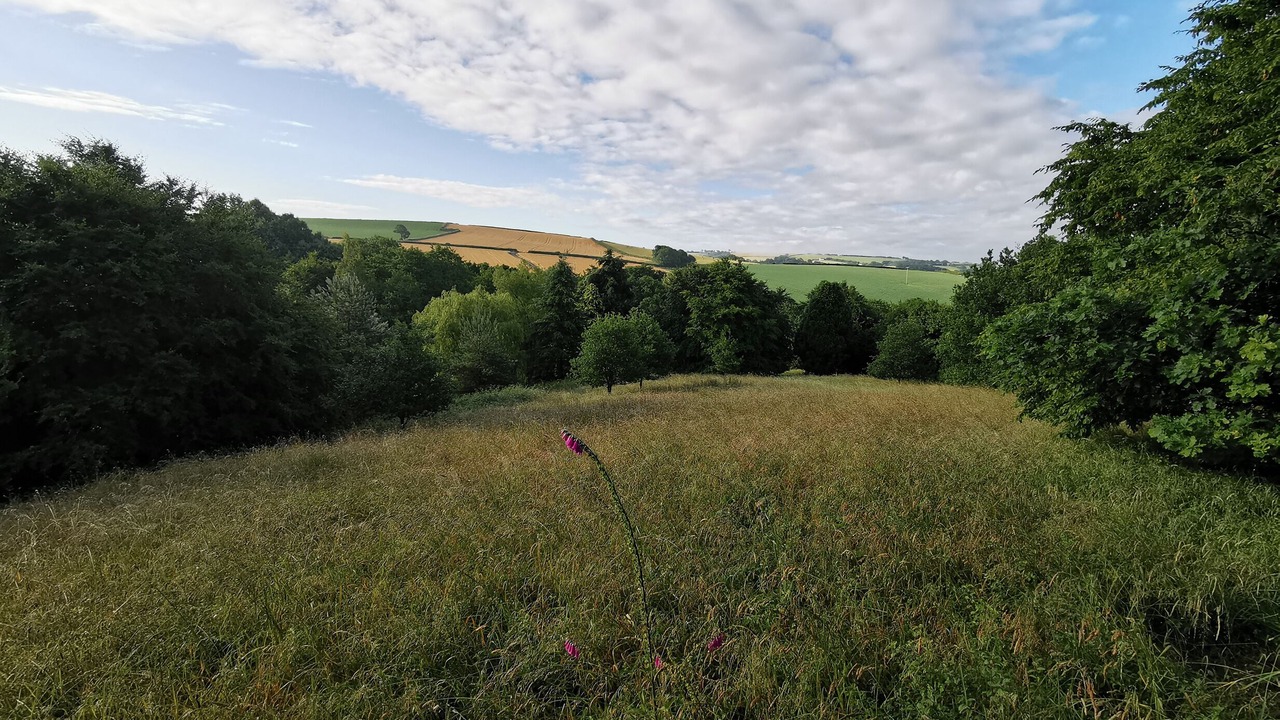 Photo of Others in South Molton