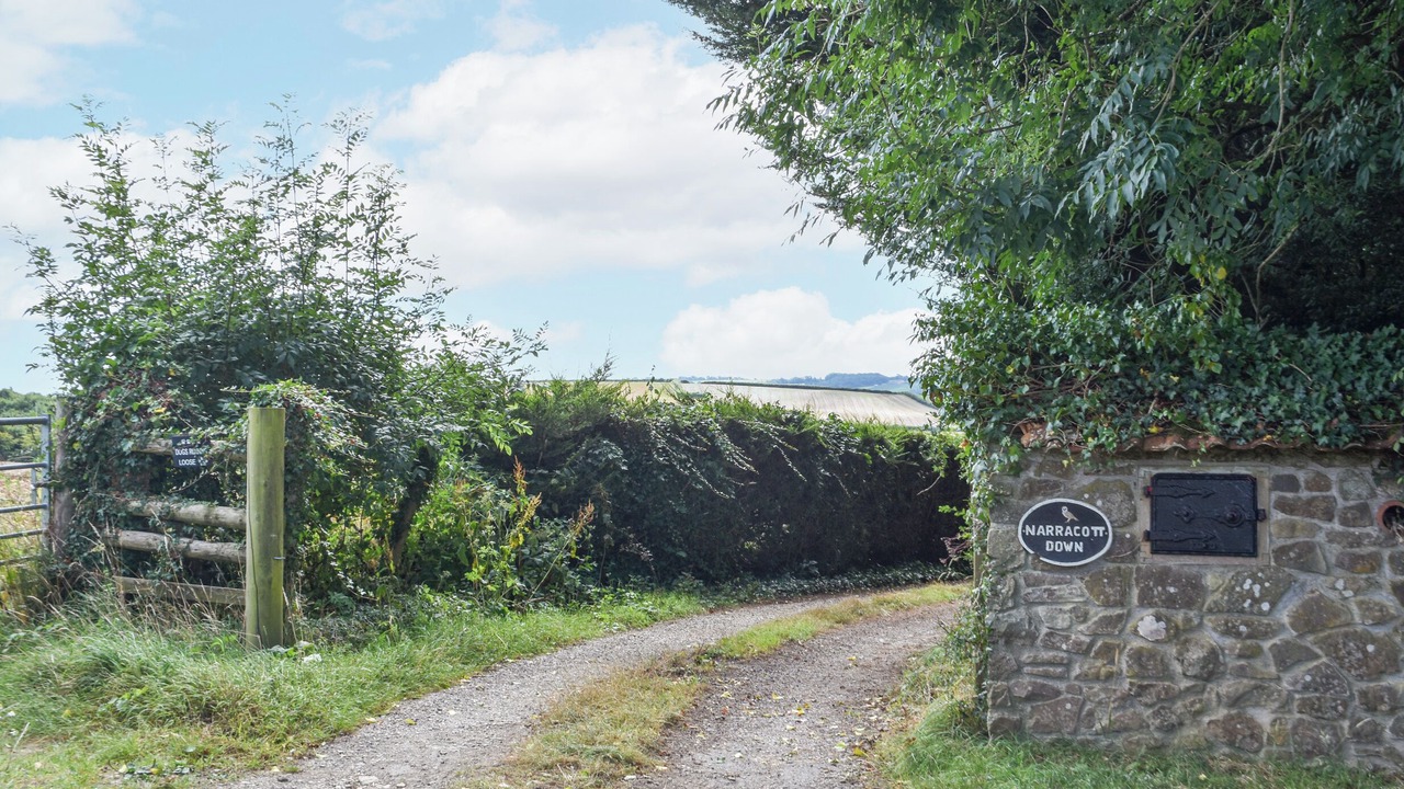 Photo of Others in South Molton