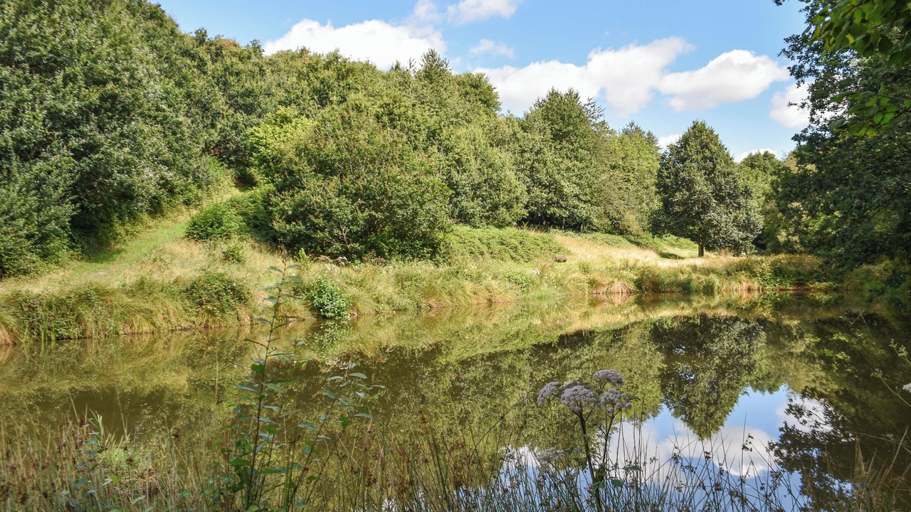 Photo of Others in South Molton