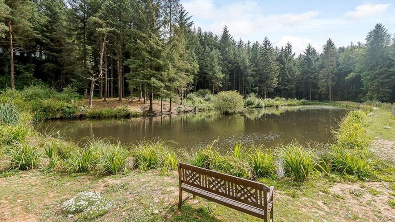 Photo of Others in Honiton