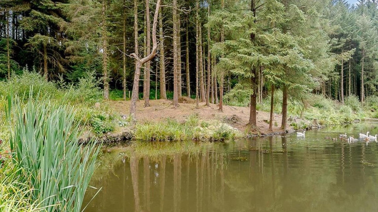 Photo of Others in Honiton